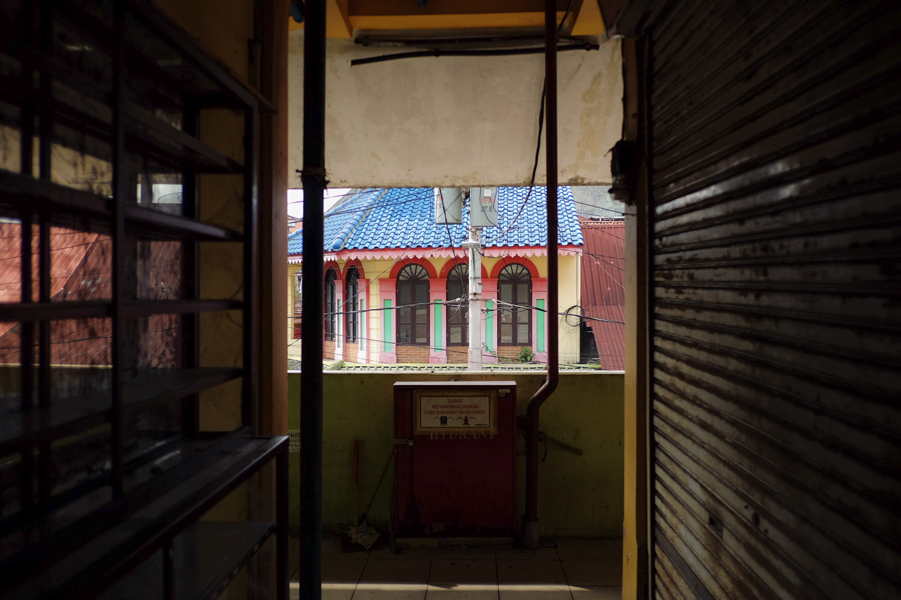 portrait photography